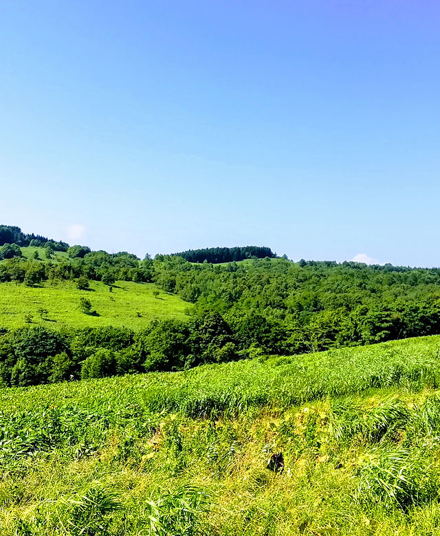 西当別風力発電 | 佐藤たつと未来の当別をつくる町民有志の会【北海道