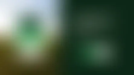 Essential Branding Guidelines and Practical Tips to Elevate Your Wix Studio Projects