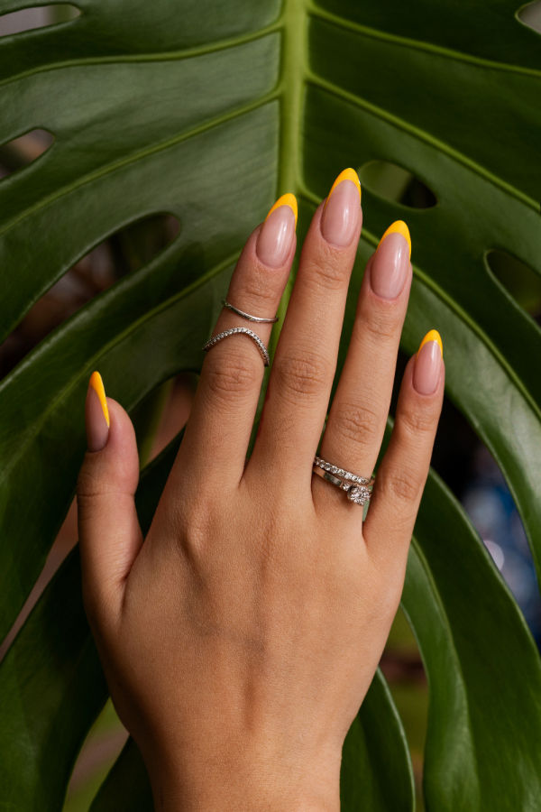 Hand with yellow French tip nails and rings on a green leaf