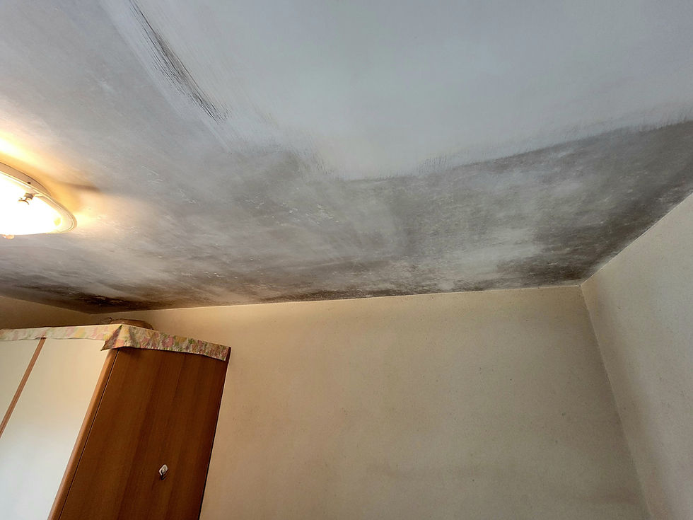 樂富居屋單位天花除霉