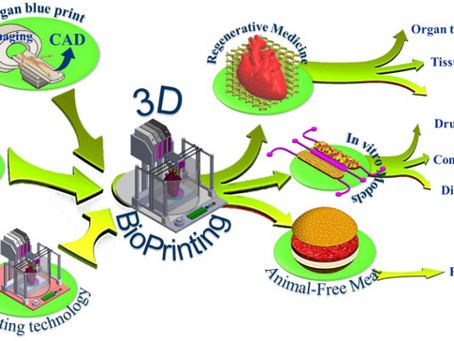 5 Minute HealthTech Jargon Buster: 3D Bioprinting of Organs and Tissues for Regenerative & Personalised Medicine
