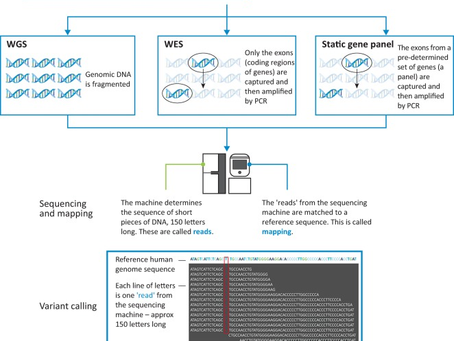 5 Minute Healthtech Jargon Buster: Genomics