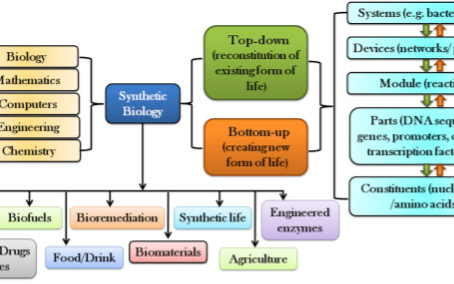 5 Minute Healthtech Jargon Buster: Synthetic Biology