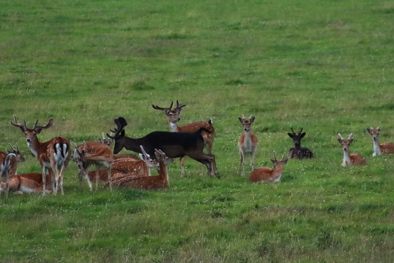 Whats on in Harewood