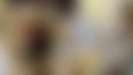 作品と作家の息遣いを直接感じられる「膠」展、開催中。