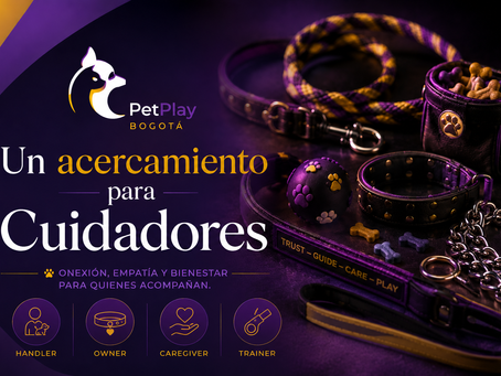 Un acercamiento para Cuidadores
