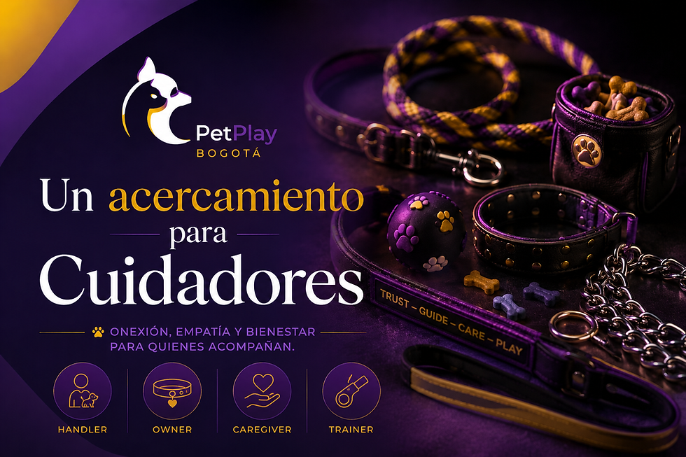 Un acercamiento para Cuidadores