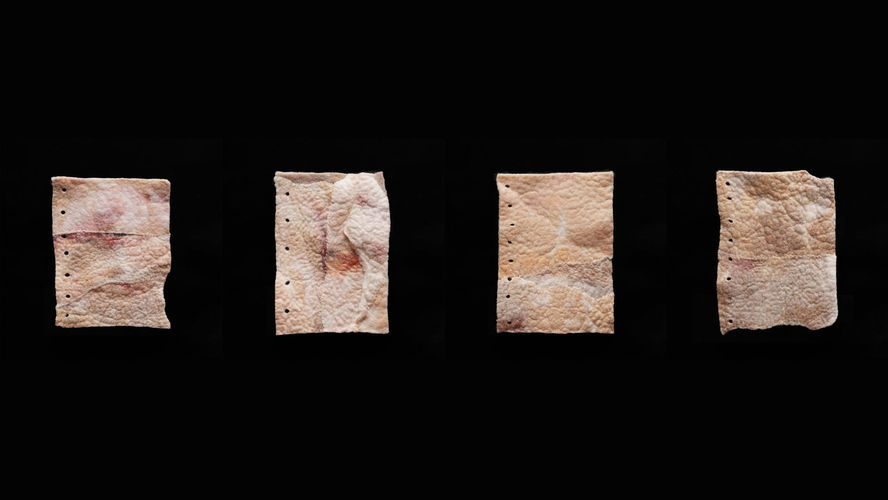 한 겹의 나날, 2025, 21x15cm 140pcs, 양모, 면, 혼합사, 트레이싱지