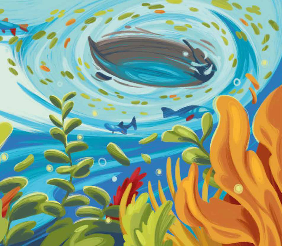 Miniature : Les Plus Beaux