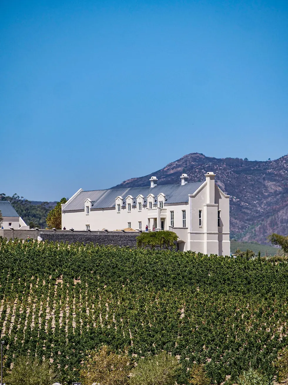 Taste South Africa with Broadbent Selections