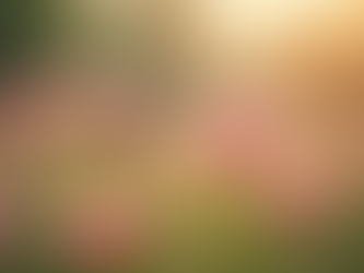 Understanding Menopause: Symptoms and Solutions