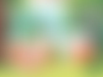 Kick Off the Season – Your Weekend Activity Schedule & Memorial Day Welcome