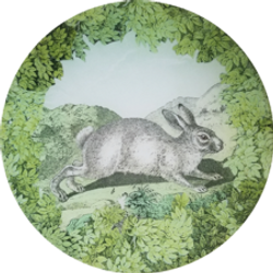 Woodland White Rabbit W-7