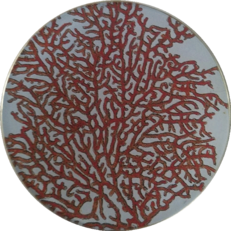 Red Coral CVII  S-165