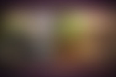 Vegan Fashion Was the First Step. Not the Final One.