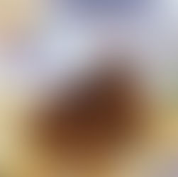 MAISHA - MAPATO NA MATUMIZI