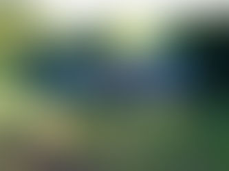 Campo Aliado da Água: agricultura inteligente conserva e produz água