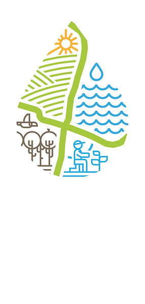faixa-paisagem-regenerativa-do-cerrado-mineiro.png