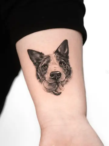 Fine line black and grey Border Collie pet portrait arm tattoo by Nicolly at The Story of Us MCR, Castlefield Manchester