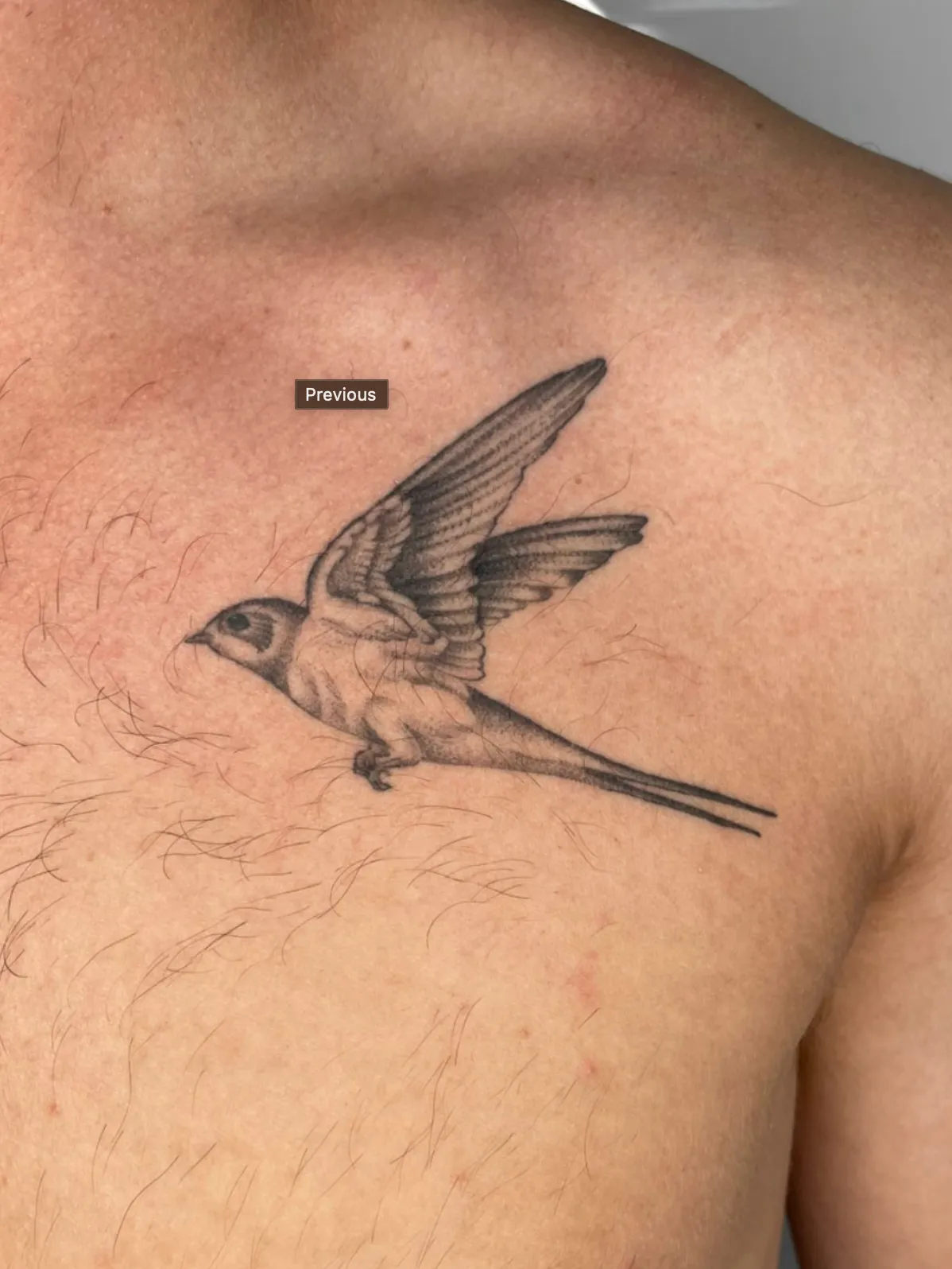 Healed fine line swallow chest tattoo by Anggi