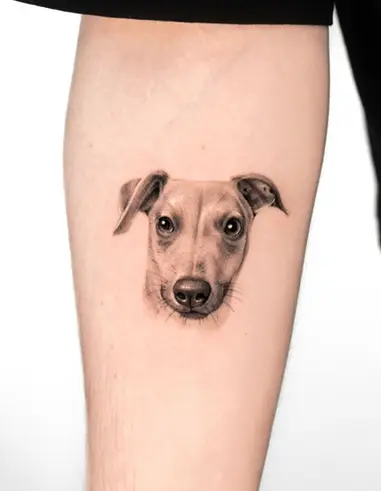 Fine line black and grey Whippet dog portrait forearm tattoo by Nicolly at The Story of Us MCR, near Deansgate Manchester
