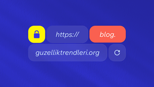 Subdomain Nedir? Örnekler, Kurulum, Subfolder ile Farkları (Detaylı Rehber)