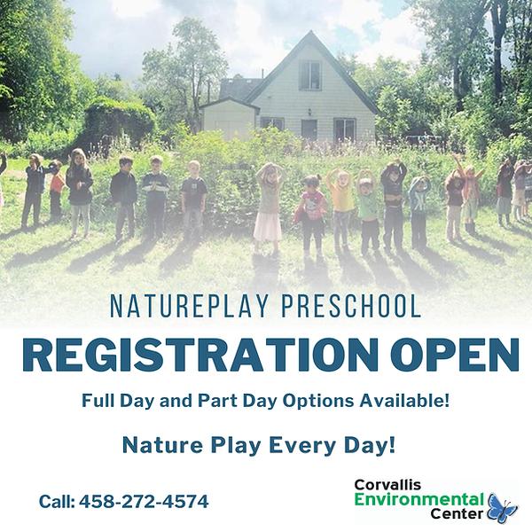 NaturePlay preschool (4).png