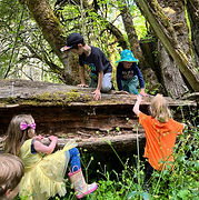 NaturePlayclimbers_edited.jpg