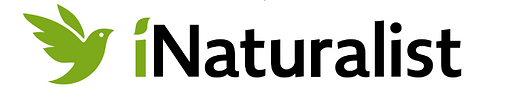 Inaturalist.png