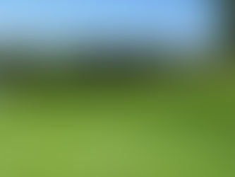 Inaugural Local 15 Charity Golf Outing