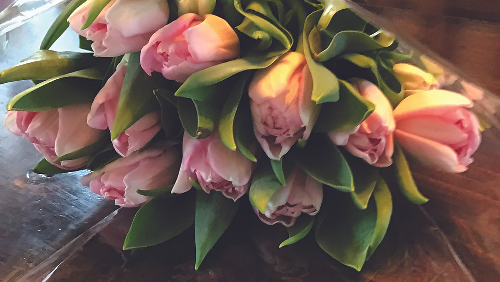 Spring Tulip Fundraiser