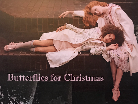 Butterflies for Christmas