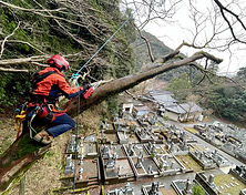 施工事例左下(神社・墓地)