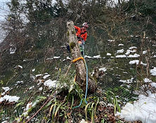 施工事例右上(道路脇)