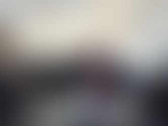 Radde vai à Brasília tratar de Segurança Pública, combate ao fascismo e ataques às escolas