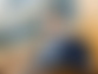 "Flávio Bolsonaro não gosta de ser vinculado à milícia"