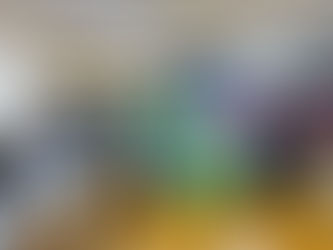 Catadores de recicláveis se reúnem na Assembleia Legislativa para pautar poderes e instituições