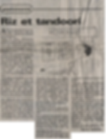 article-gastronomie2.png