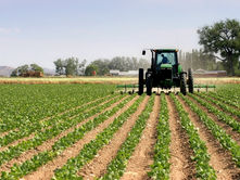 Agriculture and Non-Manufacturing Are in Contraction