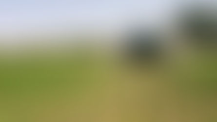 Agriculture and Non-Manufacturing Are in Contraction