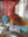 Chick 1.jpg