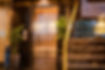 pexels-svh-manali-1801124329-28347479.jpg