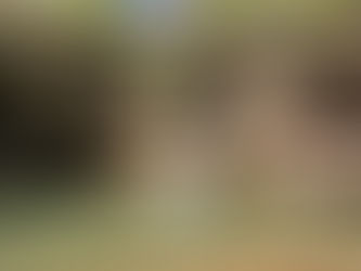 Upper Falls at Hocking Hills State Park