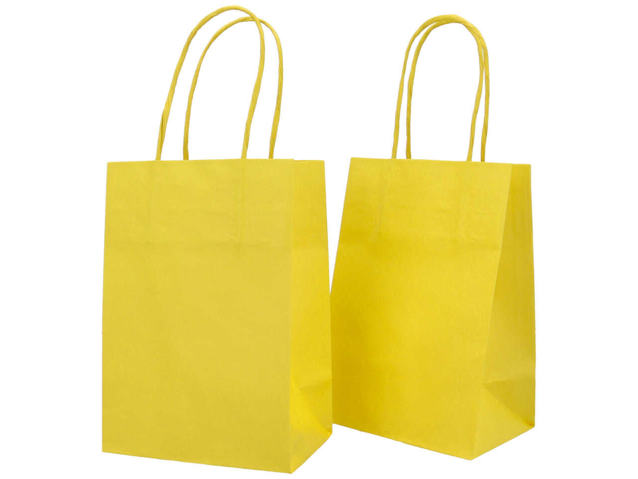 BUSTA SHOPPER CON MANICI 14x9x20cm 310003436AB25