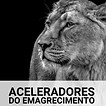 capa_ebook.jpeg