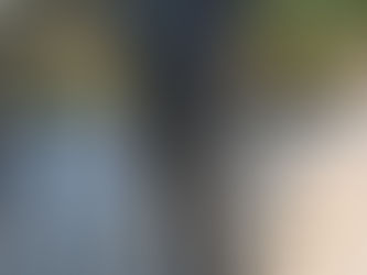 🎨 Qui est né un 19 janvier ?