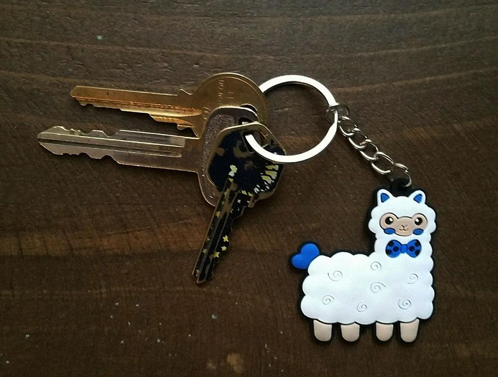 Thumbnail: Alpaca My Keys