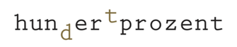 Logo_Schriftzug_Transparent.png