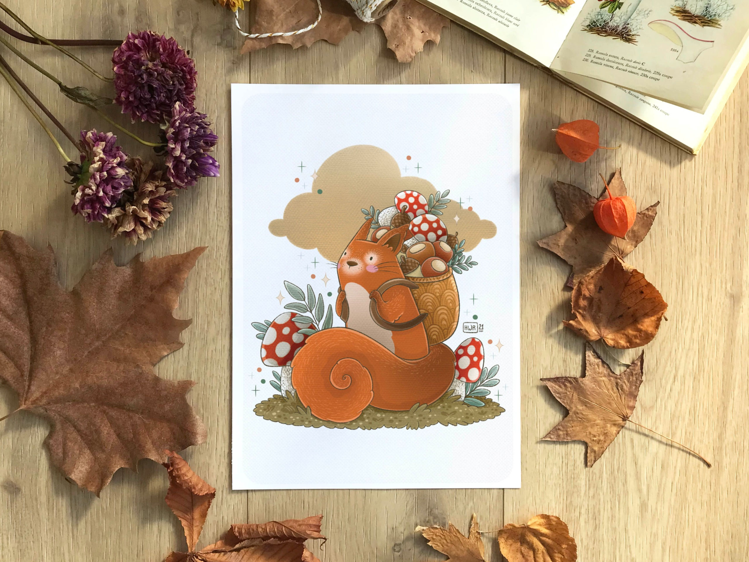 Illustration " Provisions d'écureuil " - affiche et carte formats A6, A4 et A3