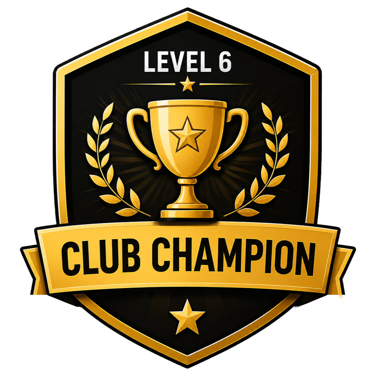 6.LEVEL.png